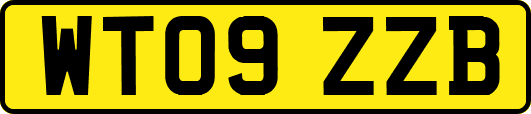 WT09ZZB