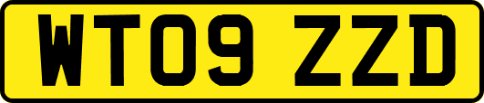 WT09ZZD