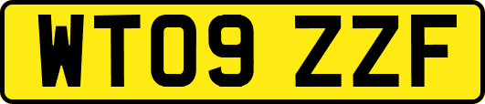 WT09ZZF