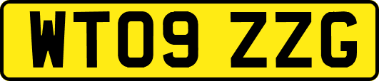 WT09ZZG