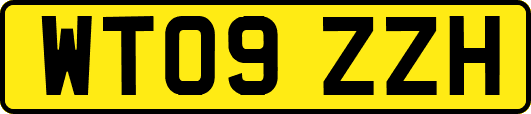WT09ZZH