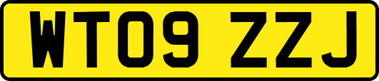 WT09ZZJ