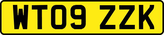 WT09ZZK
