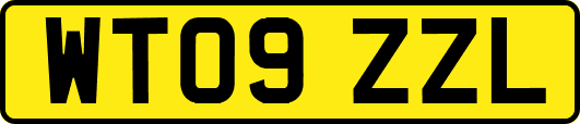 WT09ZZL