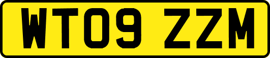 WT09ZZM