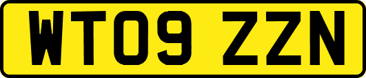 WT09ZZN