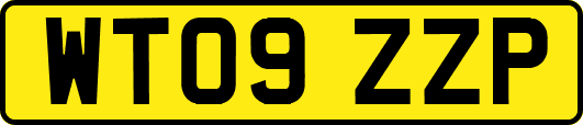 WT09ZZP