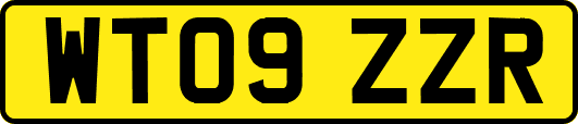 WT09ZZR