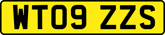 WT09ZZS