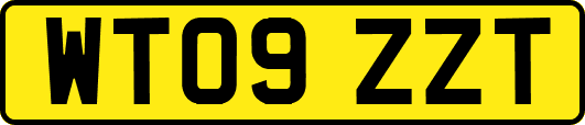 WT09ZZT