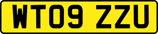 WT09ZZU