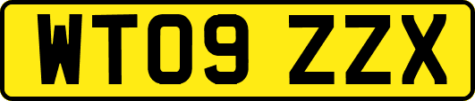 WT09ZZX