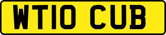 WT10CUB