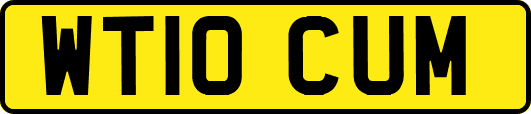 WT10CUM