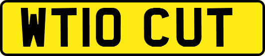 WT10CUT