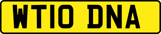 WT10DNA