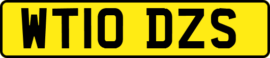 WT10DZS