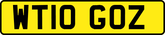 WT10GOZ