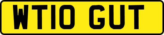 WT10GUT