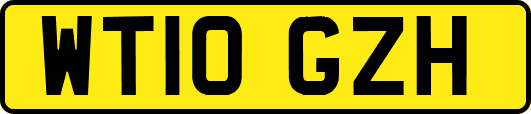 WT10GZH