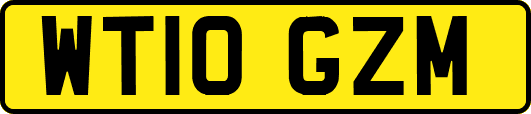 WT10GZM
