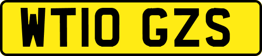 WT10GZS