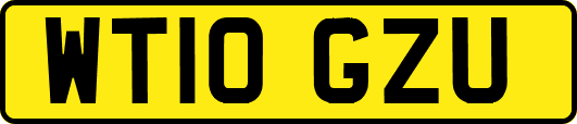 WT10GZU