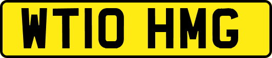 WT10HMG