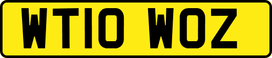 WT10WOZ