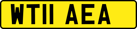 WT11AEA