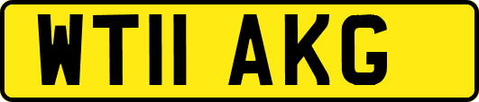 WT11AKG