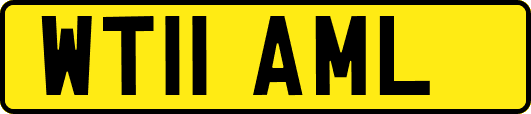 WT11AML