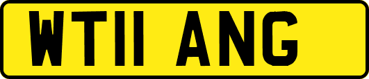 WT11ANG