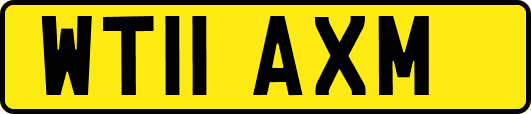 WT11AXM