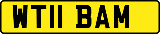 WT11BAM