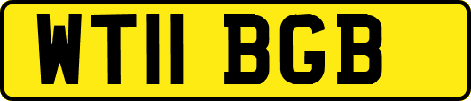 WT11BGB