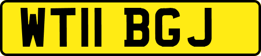 WT11BGJ