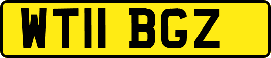 WT11BGZ