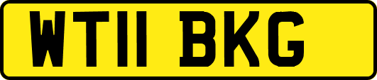 WT11BKG