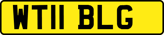 WT11BLG