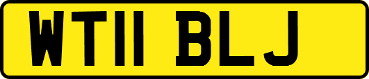 WT11BLJ