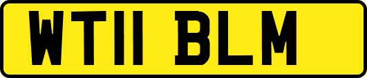 WT11BLM