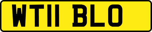 WT11BLO