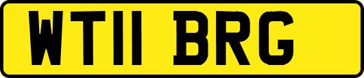 WT11BRG