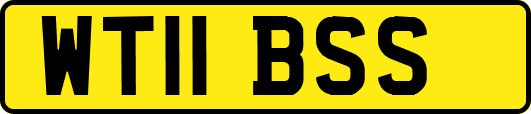 WT11BSS