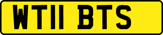 WT11BTS