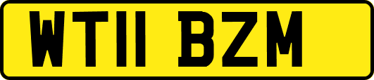 WT11BZM