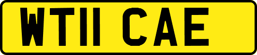 WT11CAE
