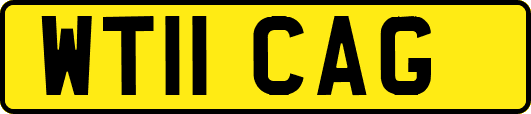 WT11CAG