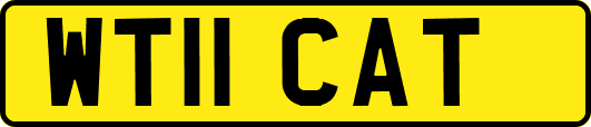 WT11CAT